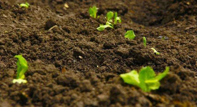 土壤環境檢測 土壤環境檢測