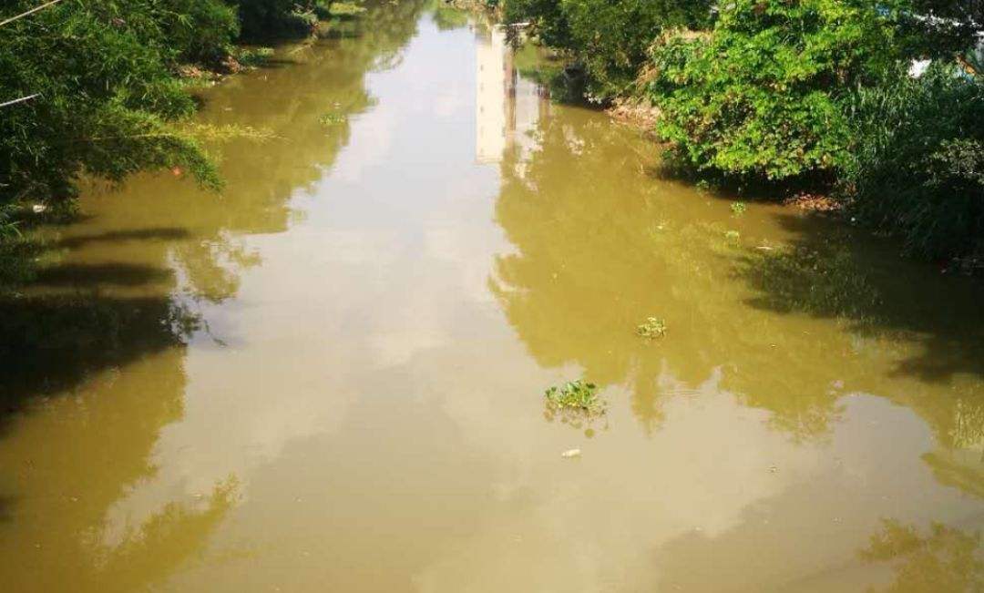 廢水檢測機構 廢水檢測機構