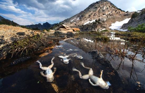 環境檢測機構 環境檢測機構