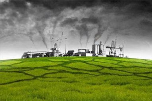 環評報告 環評報告