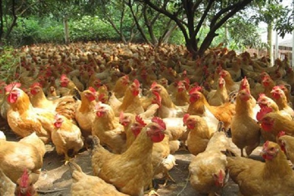 深圳市噪音檢測機構 深圳市噪音檢測機構