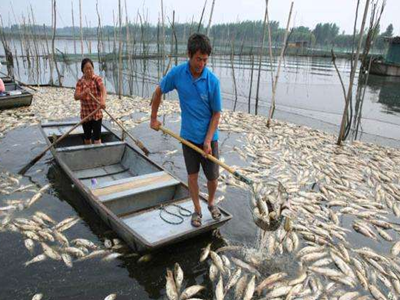 深圳水質檢測 深圳水質檢測