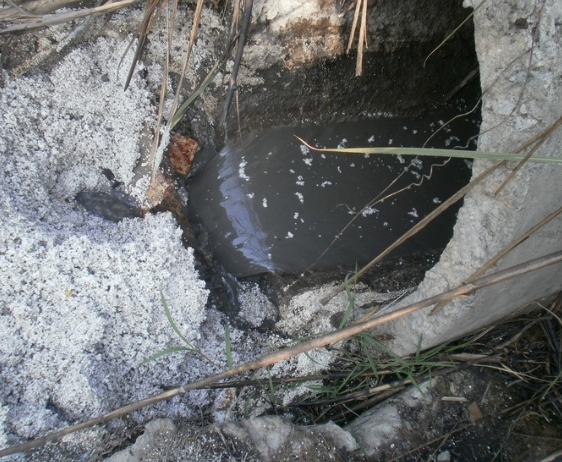 水質檢測機構 水質檢測機構