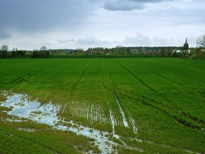 深圳水質(zhì)檢測(cè) 深圳水質(zhì)檢測(cè)