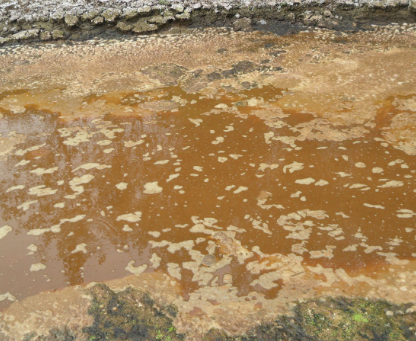 深圳水質檢測 深圳水質檢測