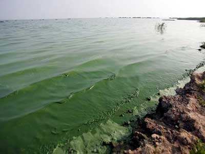 第三方水質檢測公司 第三方水質檢測公司