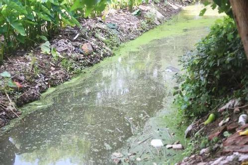 深圳水質檢測 深圳水質檢測